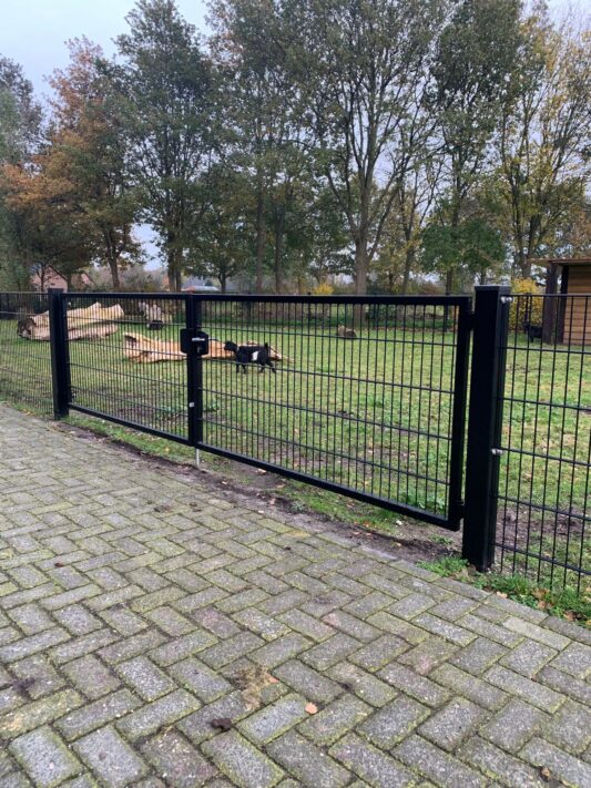 dubbele dubbelstaafmat poort grasveld