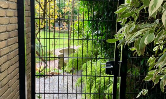 looppoort dubbelstaafmat 8 6 8 tuinpoort